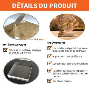 Plaque Acrylique Personnalisée - Juste une Fille qui Aime les Livres